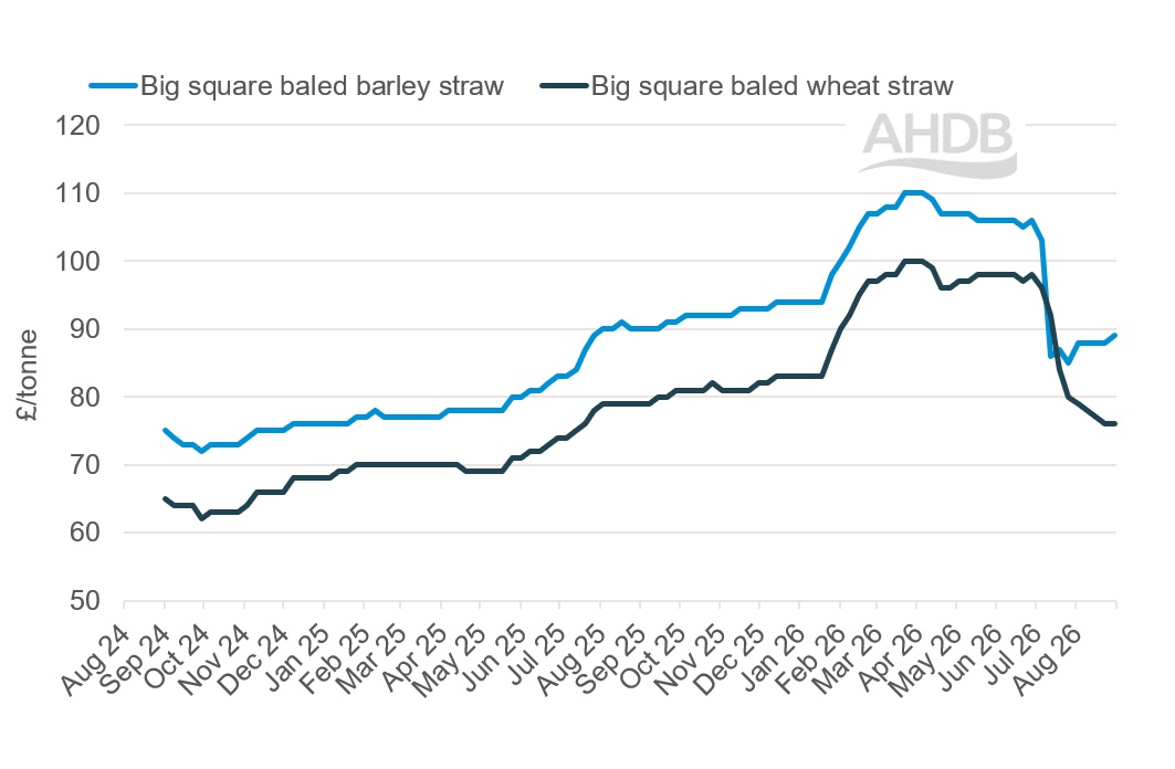 A line graph showing GB big bale straw weekly prices 30 August 2026.